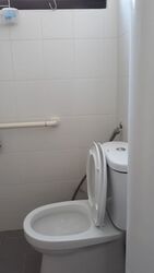 Blk 17 Joo Seng Heights (Toa Payoh), HDB 4 Rooms #610424531